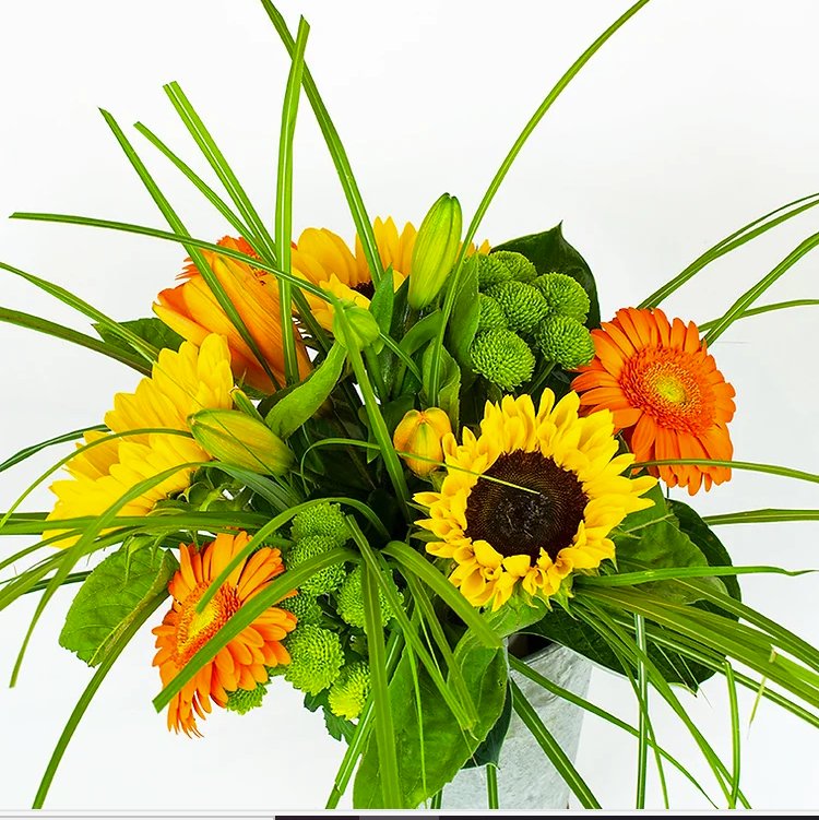 GD Fleurs - Photo 1 - Hôtel à Grand-Lancy