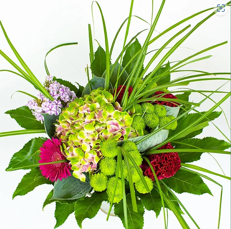 GD Fleurs - Photo 5 - Hôtel à Grand-Lancy
