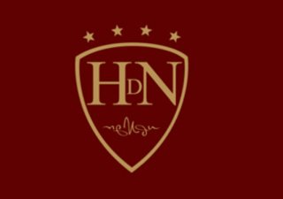 Logo de Hotel Du Nord AG