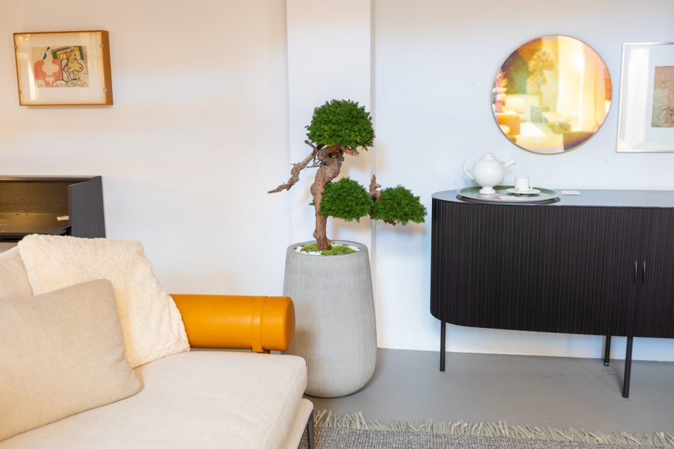 Vegetal Trend Sàrl - Photo 5 - Hôtel à Carouge
